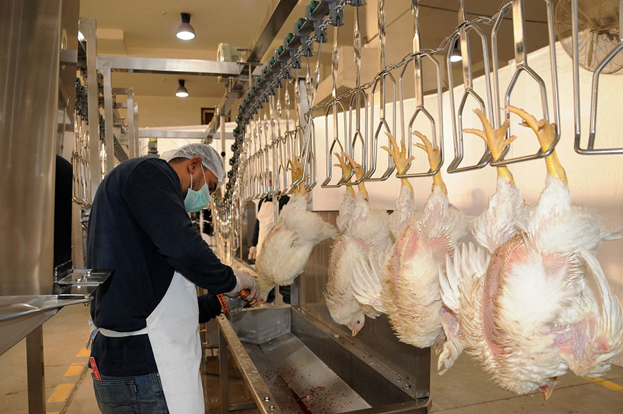 People Working in an Office